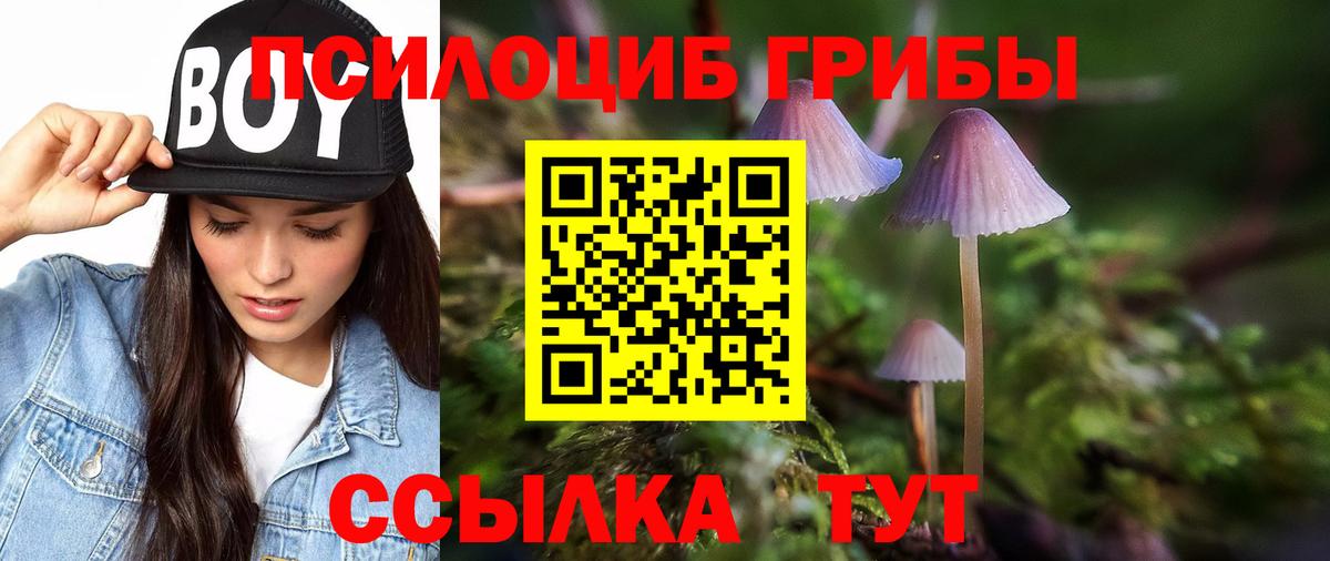 Галлюциногенные грибы ЛСД  как найти   Кингисепп  Вход с VPN 